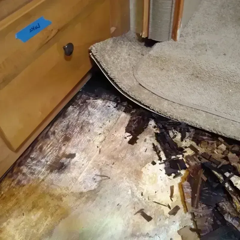 Wood Floor Water Damage in Jefferson County, MS